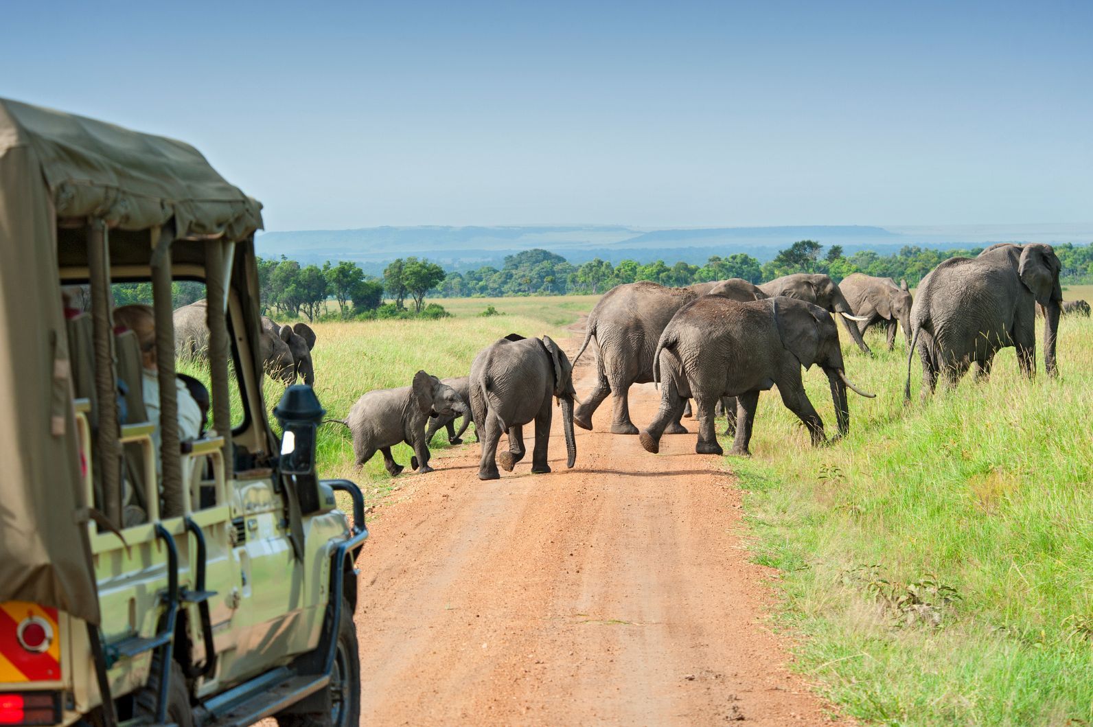 Join Us on an Unforgettable 6-Day Midrange Safari