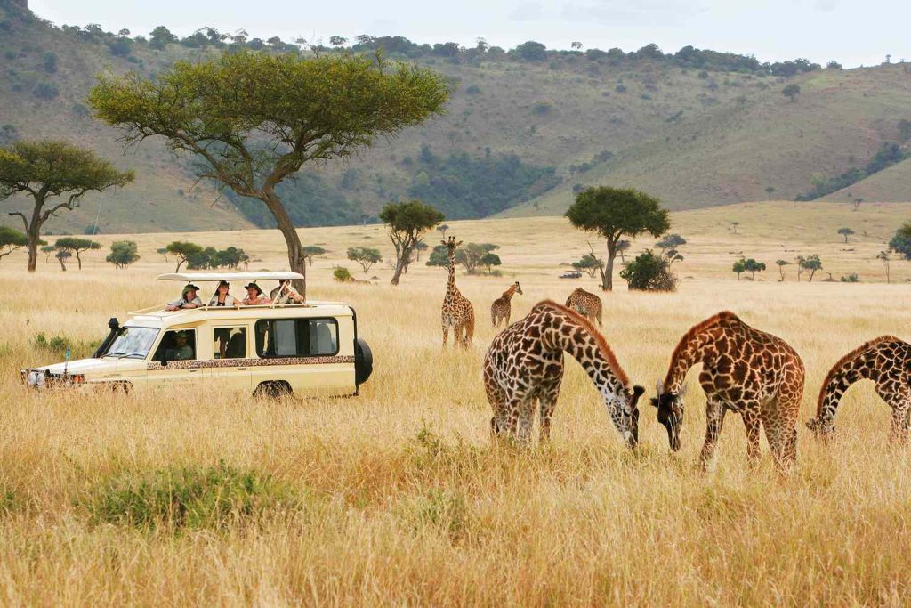 Safari In Africa Kenya